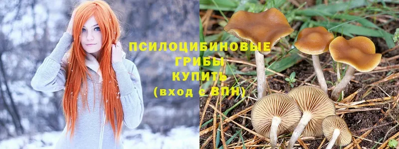 Галлюциногенные грибы Magic Shrooms  Кисловодск 